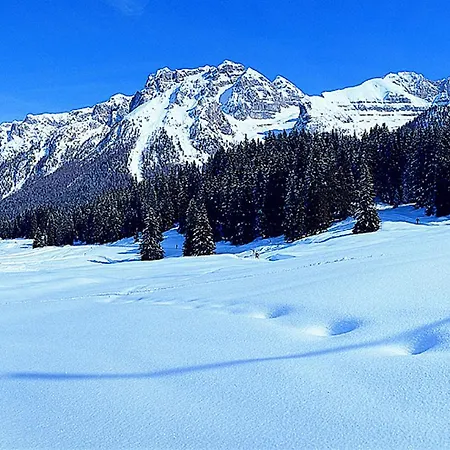 Campiglio Bilocale Monte Spinale Madonna